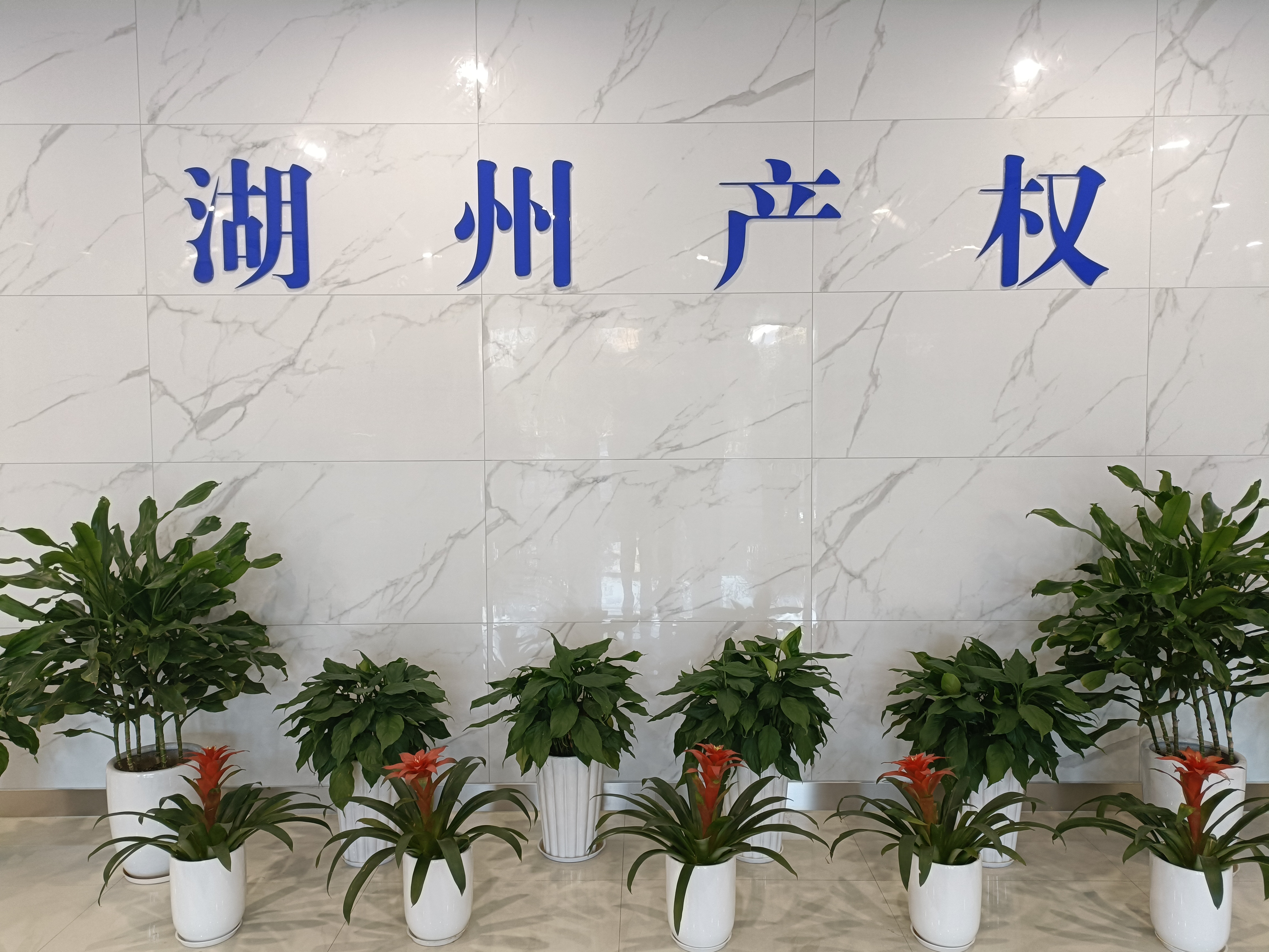 湖州市房地产开发实业总公司拟报废电梯1台