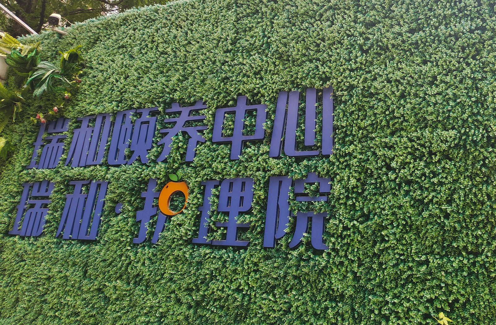 IMG_20250417_133356.jpg