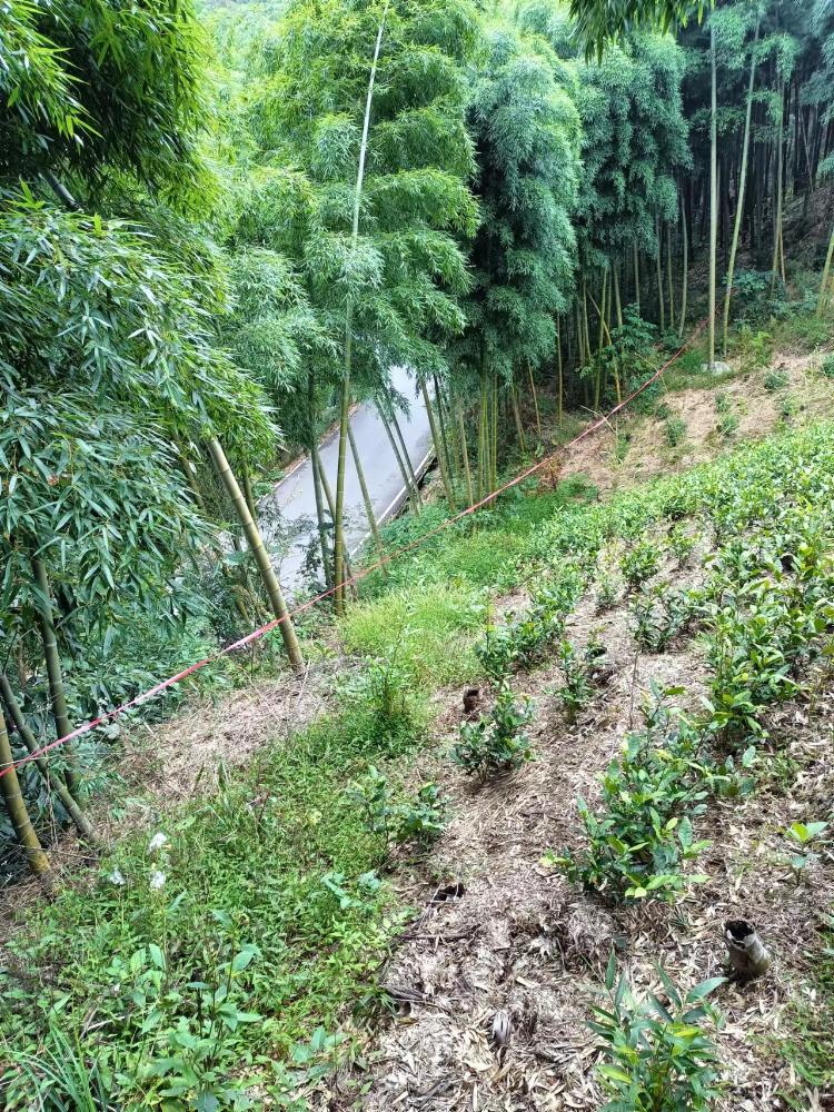 安吉县里长龙至外长龙段防火巡护道建设工程涉及的矿产品