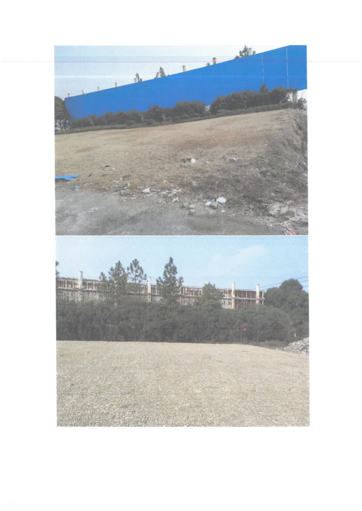 绍兴滨海新区开发建设有限公司所属位于东入口景观工程-东侧广告牌转让