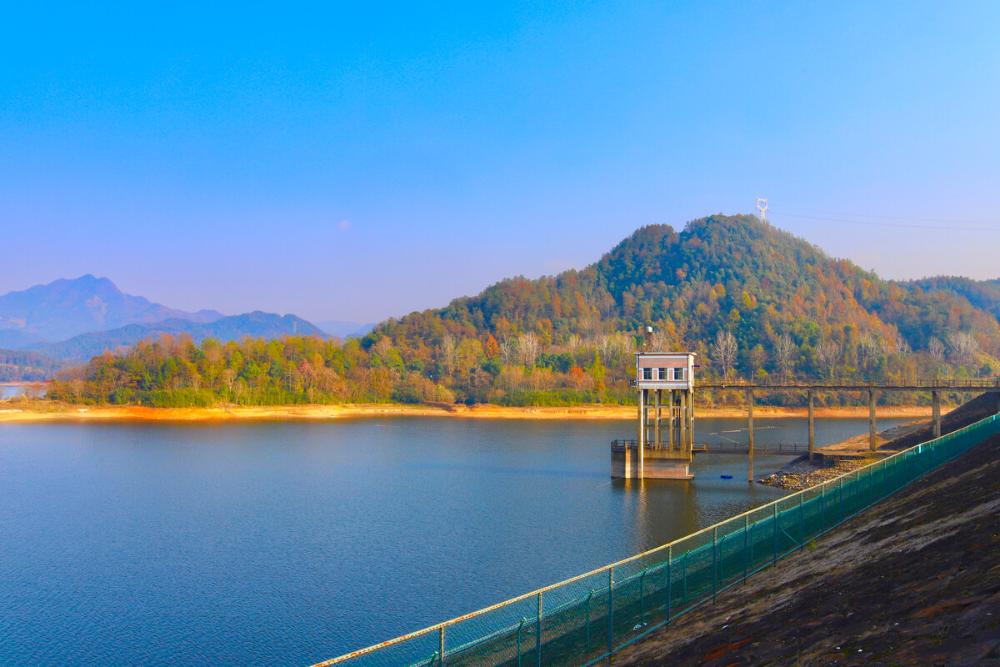 诸暨市陈蔡水库雪顶及茶寺坪香榧林五年经营承包权